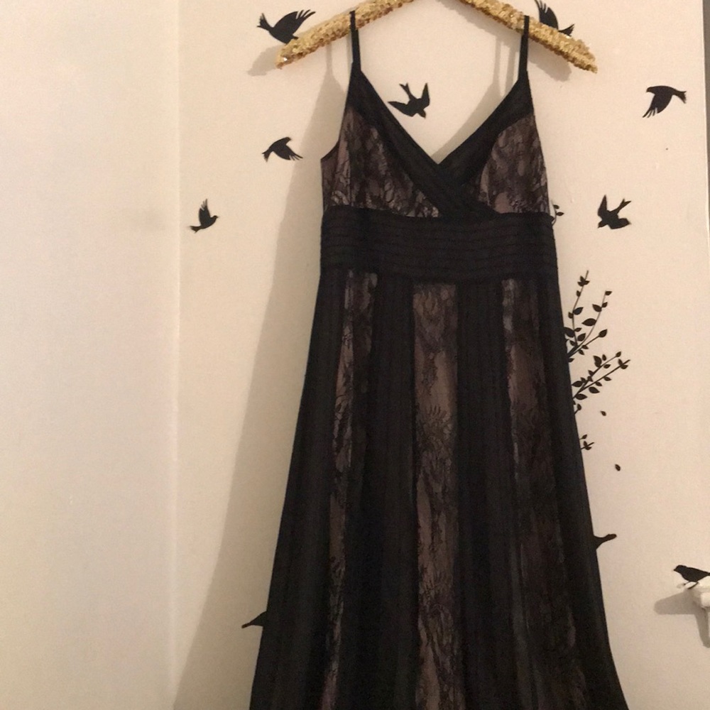 LOFT Lace Dress